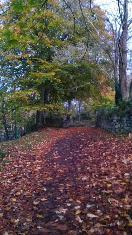 Mill Lane Appartement Buncrana Buitenkant foto